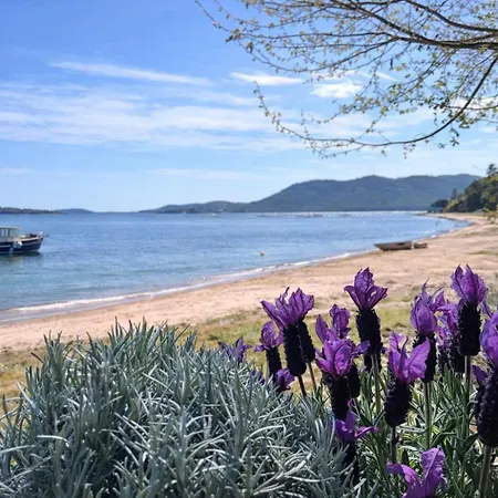 Porto-vecchio La Baie Des Voiles Alpesi faház *