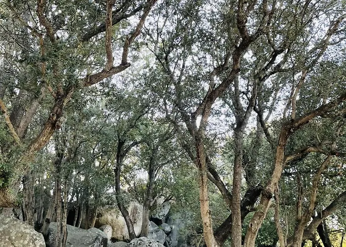 Camping Porto-Vecchio La Baie Des Voiles Chalet