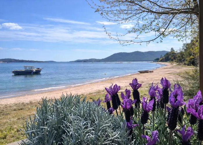Camping Porto-Vecchio La Baie Des Voiles Chalet *