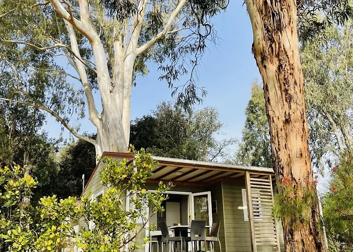 Camping Porto-Vecchio La Baie Des Voiles Chalet *